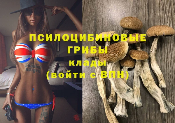 spice Надым