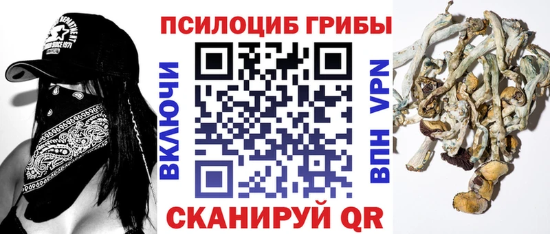Галлюциногенные грибы MAGIC MUSHROOMS  Тулун 